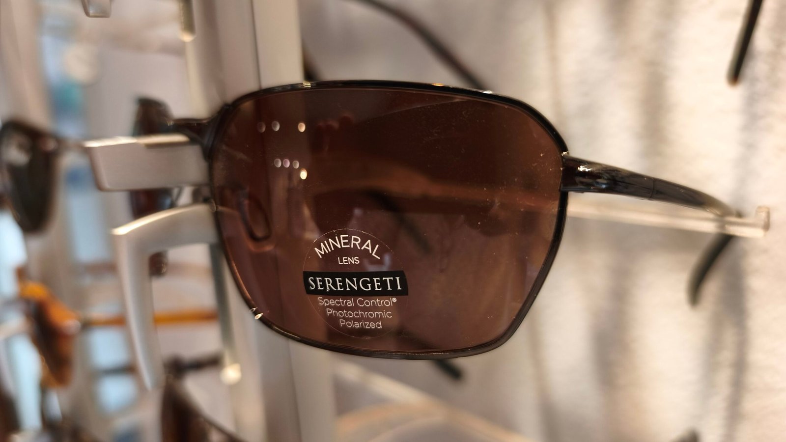 Serengeti Shelton SS547003 - Image 2