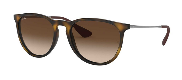 Ray-Ban RB4171 Erika 865/13